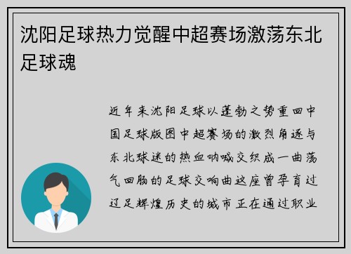 沈阳足球热力觉醒中超赛场激荡东北足球魂